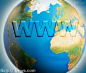 11 - Internet-Web-Globe-Earth-Information.jpg