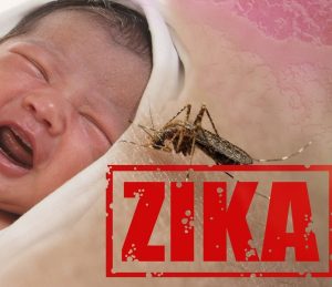 09 - Zika-Virus-696x600.jpg